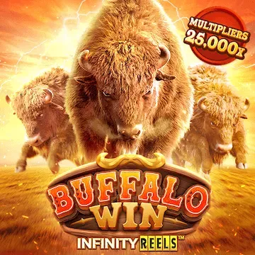 buffalo by ดารา 168
