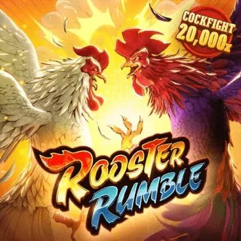 rooster by ดารา 168